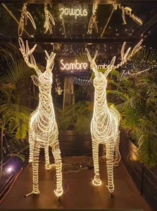 Sambre Jaipur 4 sambre jaipur