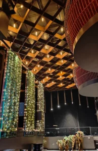 Roso Jaipur 6 Roso Jaipur Price