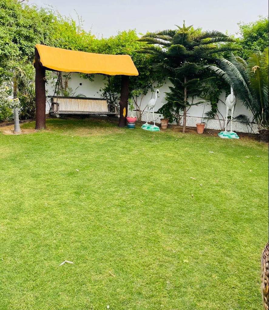 Hammerton Farm Jaipur: Price, Facilities, Images 10